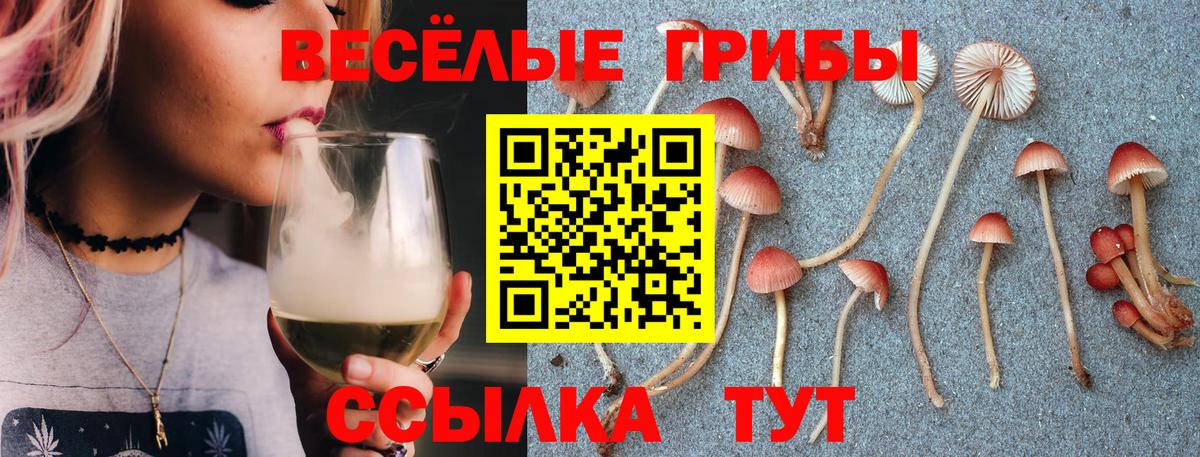 Псилоцибиновые грибы MAGIC MUSHROOMS Кунгур